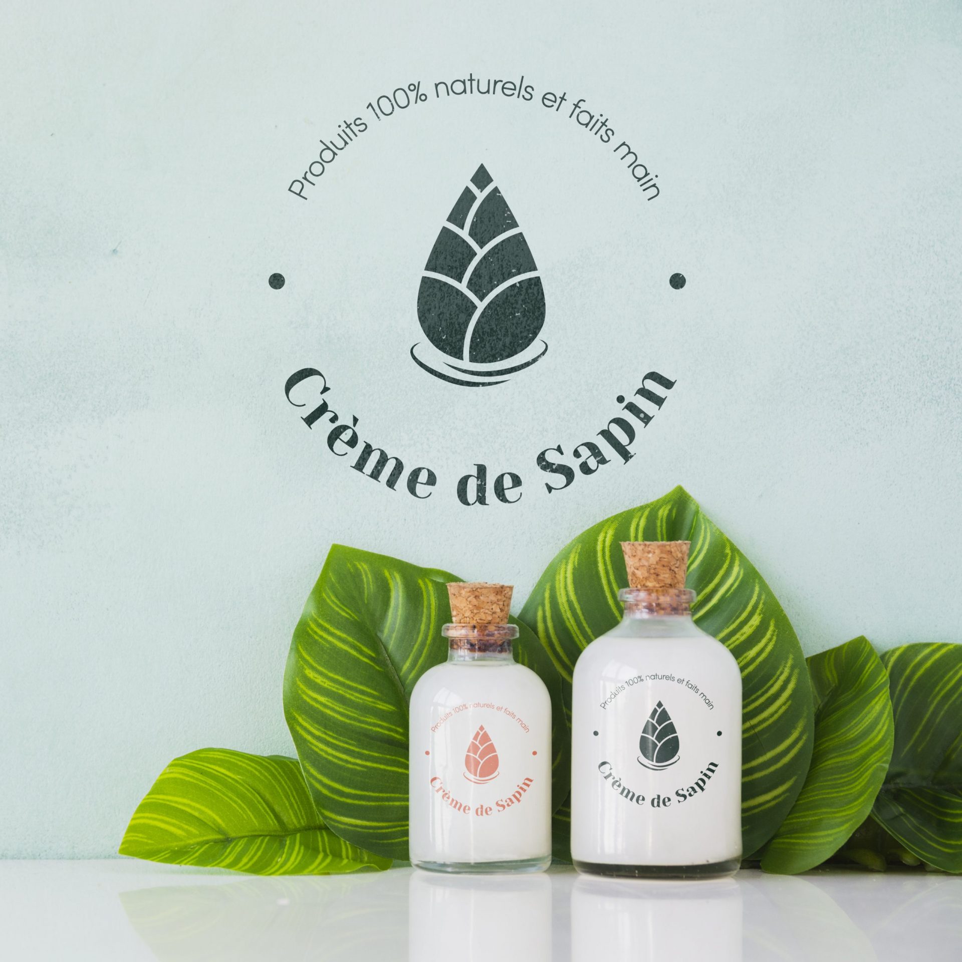Logo produits de beauté - Crème de Sapin - projet personnel